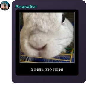 🙅‍♂️ emoji культ Даниила Санта Барбара и  pack by @QuotLyBot Telegram sticker 20 of 38