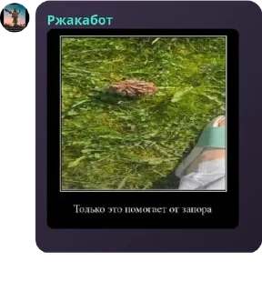 🎤 emoji культ Даниила Санта Барбара и  pack by @QuotLyBot Telegram sticker 19 of 38
