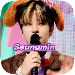 Sticker from seungmin gifs🙇🏻‍♀️