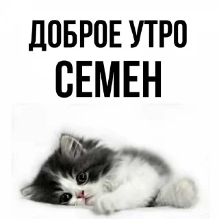 Sticker from мне пива