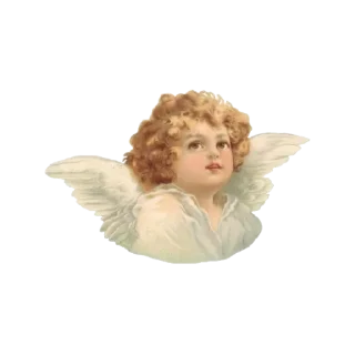 Sticker from cozy*
