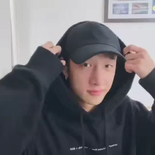 Sticker from ⌗bang chan fr stray kids @archlwood