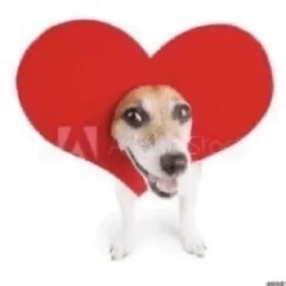 ❤ emoji Favorite stickers Telegram sticker 21 of 51