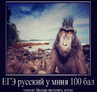 🤨 emoji Порно бравал старс бдсм сиськи Telegram sticker 7 of 51
