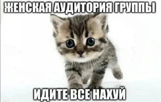 💋 emoji Порно бравал старс бдсм сиськи Telegram sticker 9 of 51