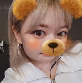 Sticker from bear twice