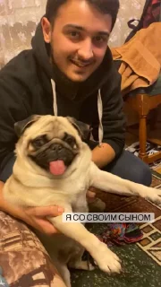 👨‍👦 emoji Video Favorite stickers Telegram sticker 9 of 45