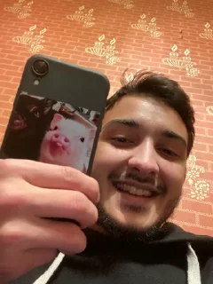 🐷 emoji Video Favorite stickers Telegram sticker 8 of 45
