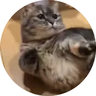 Sticker from Кокоа кружки от @Cocoa_Fans / @Cocoa_Fan @TgEmodziBot
