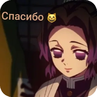 Sticker from Мои стикеры 🐱