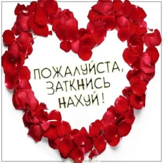 Sticker from ТЫ ЧЕ ЧЕКАНТЕ