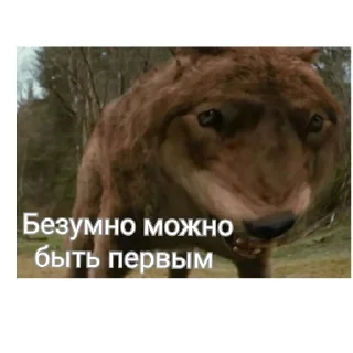 Sticker from Блядский цирк