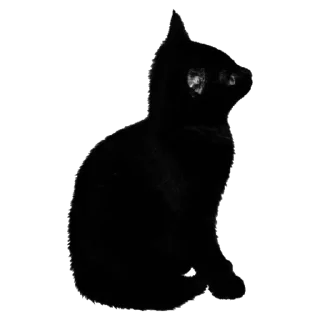 Sticker from Dark vibe @DozaEmoji