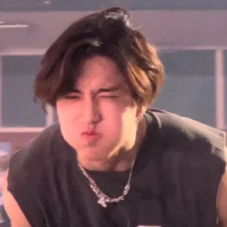 Sticker from HAN???