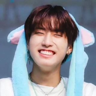 Sticker from HAN???