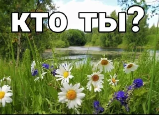 Sticker from шта