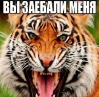 😡 emoji не ясность @lenminchi Telegram sticker 24 of 116