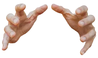 👐 emoji Бортич ещё украла стикеры Telegram sticker 22 of 120