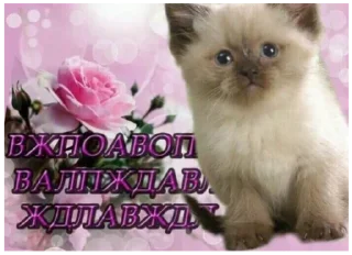 😮 emoji Бортич ещё украла стикеры Telegram sticker 7 of 120