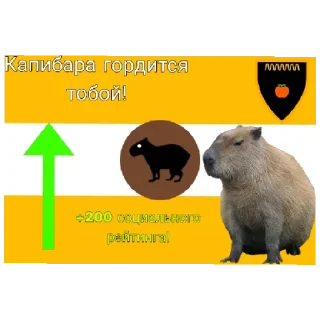 Sticker from Социальный рейтинг