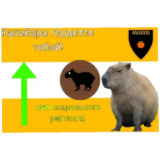 Sticker from Социальный рейтинг