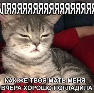 Sticker from шпак дебилов...