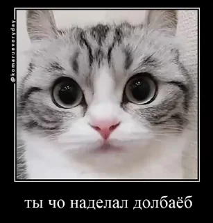 🥰 emoji Пак гения😘 Telegram sticker 16 of 61