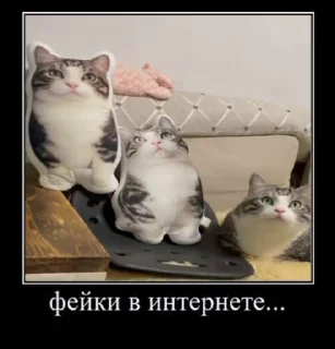 🥰 emoji Пак гения😘 Telegram sticker 17 of 61