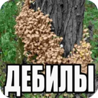 Шапочка для плаванья sticker 3