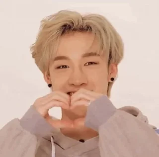 Sticker from Kpop stray kids