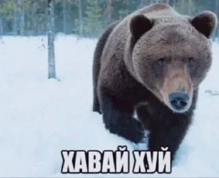 Sticker from Скуби-Ду