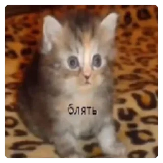 😧 emoji Ой ёмаё Telegram sticker 7 of 48