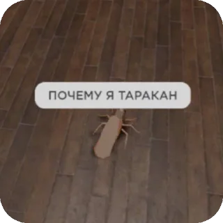 Sticker from Чо? @Themki_robot