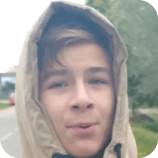 🥰 emoji Шиза стаса Telegram sticker 23 of 64