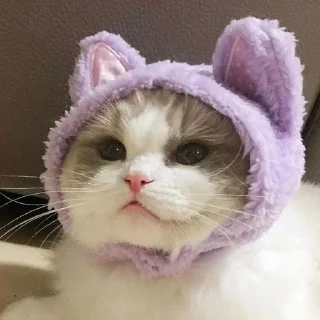 Sticker from Стас лох