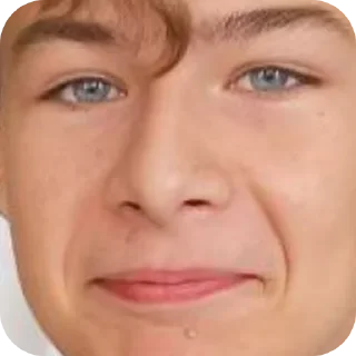 🛋 emoji Шиза стаса Telegram sticker 10 of 64