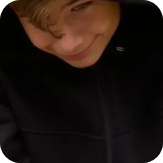 😍 emoji Шиза стаса Telegram sticker 20 of 64