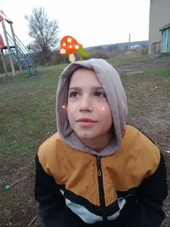 🌟 emoji Стас лох Telegram sticker 21 of 26
