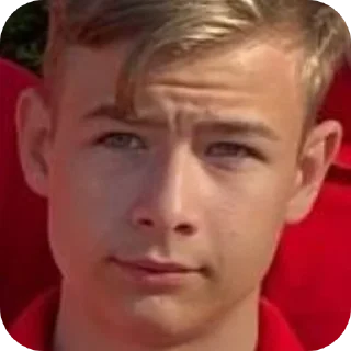 ❤ emoji Шиза стаса Telegram sticker 14 of 64