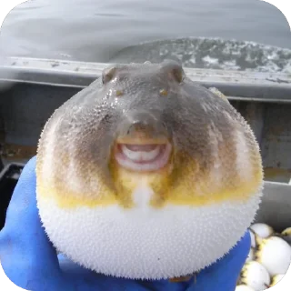 🫥 emoji рп гта5 сын завали ебало Telegram sticker 24 of 26