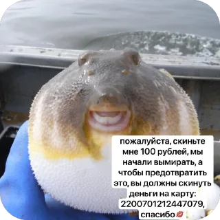🫥 emoji рп гта5 сын завали ебало Telegram sticker 23 of 26