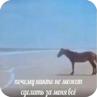 Sticker from Что прости?