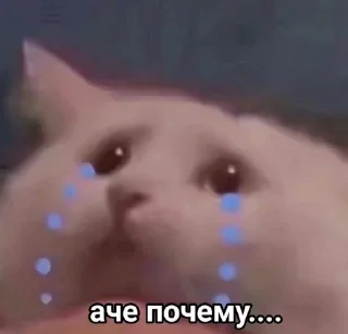 Sticker from что-то