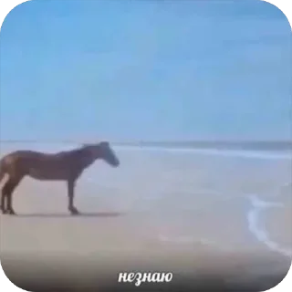 Sticker from Что прости?