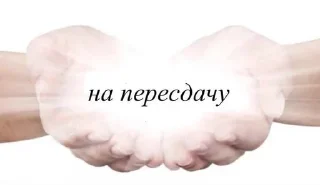 Sticker from что-то