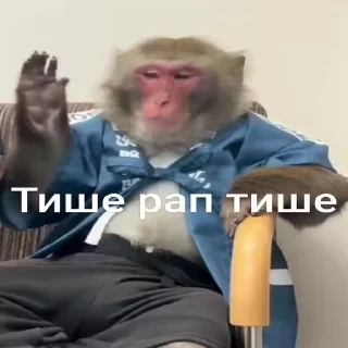 🥱 emoji Культурни бибизяни  @persik_jojo Telegram sticker 8 of 120
