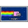 🌟 emoji кошька Telegram sticker 10 of 26