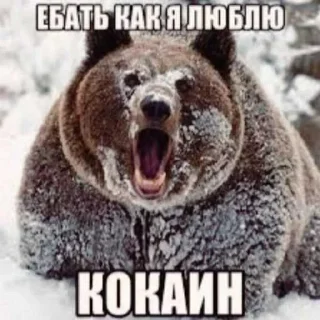 😏 emoji СКАЧАТЬ ОБОИ КЛЕЩЬ РОЛЬЪЯ ➡️ @Ctikerubot Telegram sticker 17 of 19