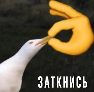 Sticker from Мем