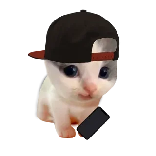 Sticker from Доктор кляйнер и друзья.